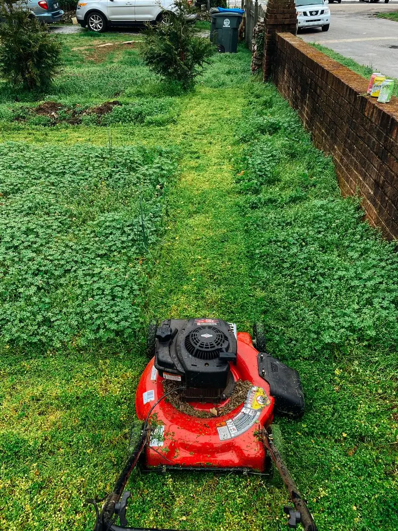 Landscaping & Lawn Care